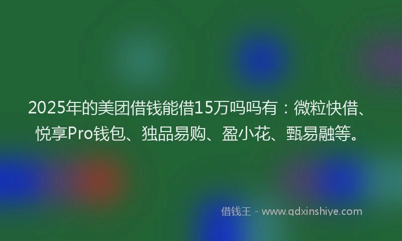2025年的美团借钱能借15万吗吗有：微粒快借、悦享Pro钱包、独品易购、盈小花、甄易融等。