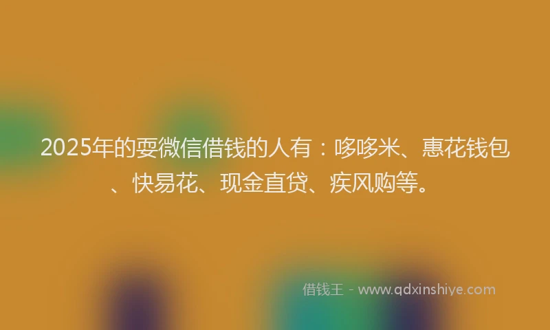 2025年的耍微信借钱的人有：哆哆米、惠花钱包、快易花、现金直贷、疾风购等。