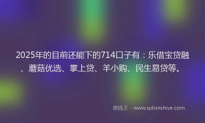 2025年的目前还能下的714口子有：乐借宝贷融、蘑菇优选、掌上贷、羊小购、民生易贷等。