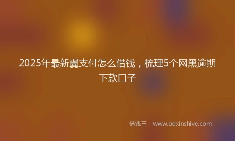 2025年最新翼支付怎么借钱，梳理5个网黑逾期下款口子