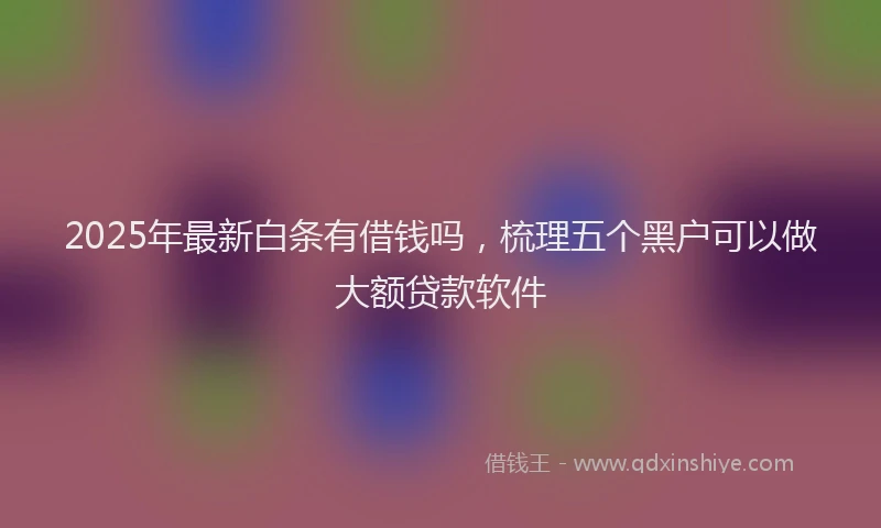 2025年最新白条有借钱吗，梳理五个黑户可以做大额贷款软件