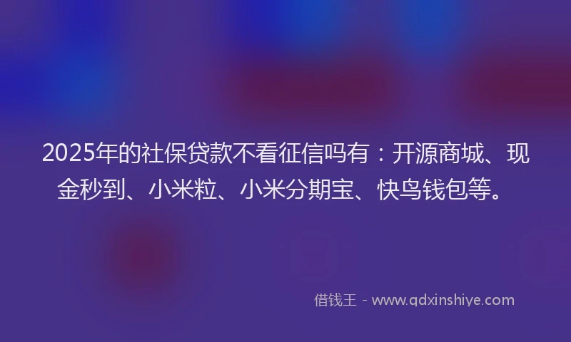 2025年的社保贷款不看征信吗有：开源商城、现金秒到、小米粒、小米分期宝、快鸟钱包等。