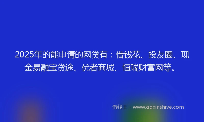 2025年的能申请的网贷有：借钱花、投友圈、现金易融宝贷途、优者商城、恒瑞财富网等。