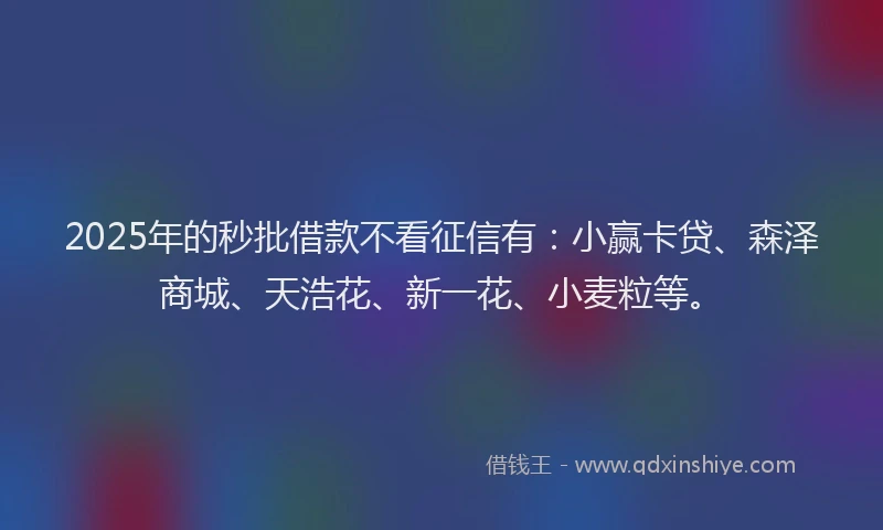 2025年的秒批借款不看征信有：小赢卡贷、森泽商城、天浩花、新一花、小麦粒等。