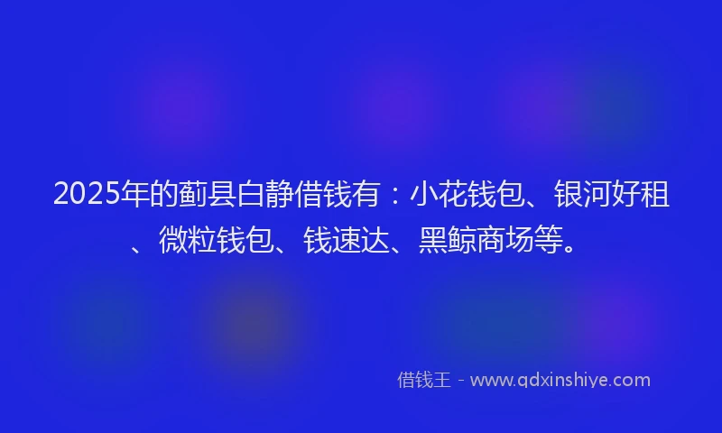 2025年的蓟县白静借钱有：小花钱包、银河好租、微粒钱包、钱速达、黑鲸商场等。