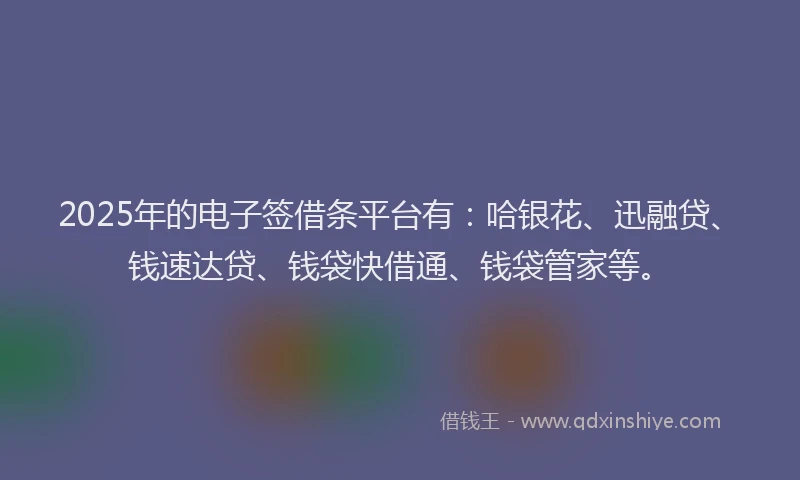 2025年的电子签借条平台有：哈银花、迅融贷、钱速达贷、钱袋快借通、钱袋管家等。