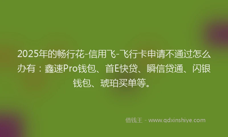 2025年的畅行花-信用飞-飞行卡申请不通过怎么办有：鑫速Pro钱包、首E快贷、瞬信贷通、闪银钱包、琥珀买单等。