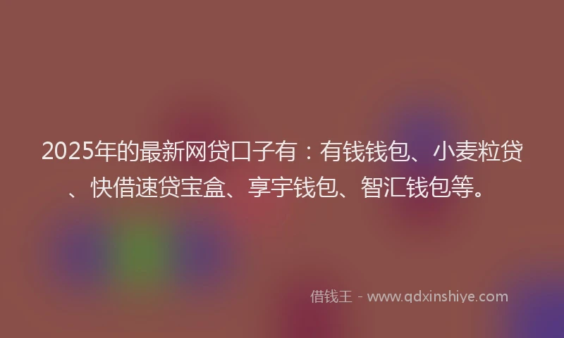 2025年的最新网贷口子有：有钱钱包、小麦粒贷、快借速贷宝盒、享宇钱包、智汇钱包等。
