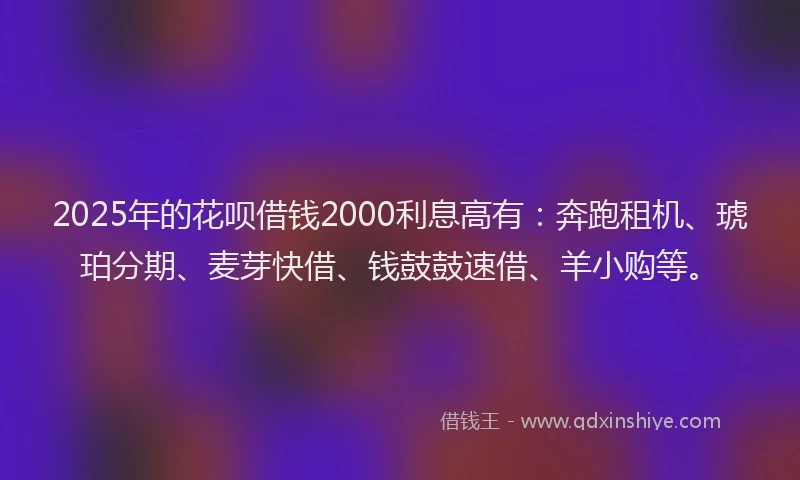 2025年的花呗借钱2000利息高有：奔跑租机、琥珀分期、麦芽快借、钱鼓鼓速借、羊小购等。