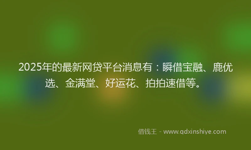 2025年的最新网贷平台消息有：瞬借宝融、鹿优选、金满堂、好运花、拍拍速借等。