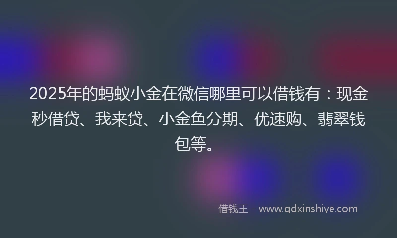 2025年的蚂蚁小金在微信哪里可以借钱有：现金秒借贷、我来贷、小金鱼分期、优速购、翡翠钱包等。