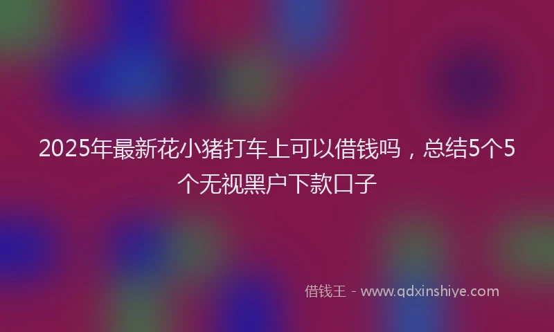 2025年最新花小猪打车上可以借钱吗，总结5个5个无视黑户下款口子