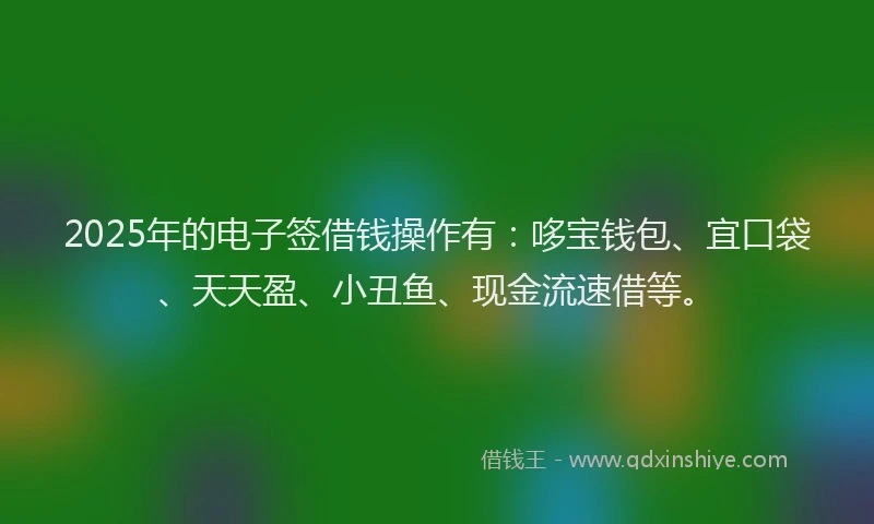 2025年的电子签借钱操作有：哆宝钱包、宜口袋、天天盈、小丑鱼、现金流速借等。