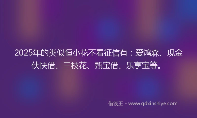 2025年的类似恒小花不看征信有：爱鸿森、现金侠快借、三枝花、甄宝借、乐享宝等。