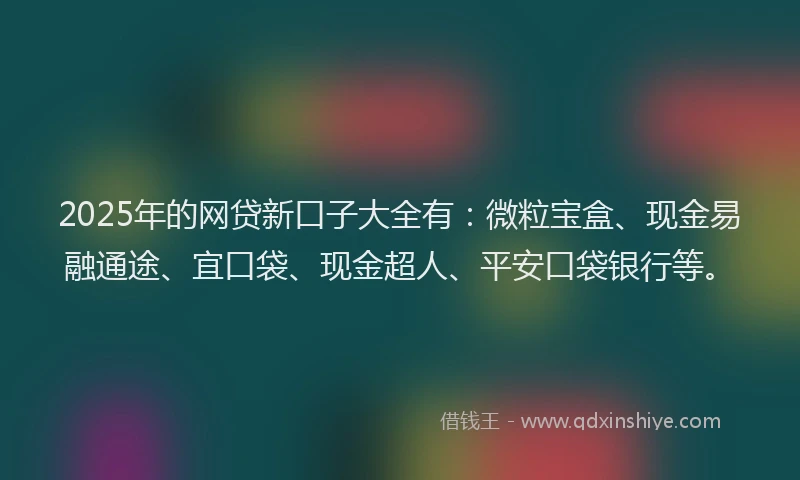 2025年的网贷新口子大全有：微粒宝盒、现金易融通途、宜口袋、现金超人、平安口袋银行等。