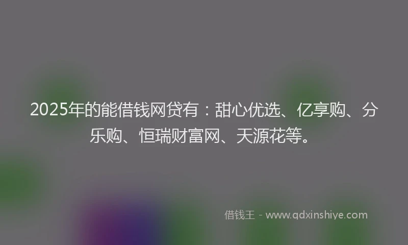 2025年的能借钱网贷有：甜心优选、亿享购、分乐购、恒瑞财富网、天源花等。