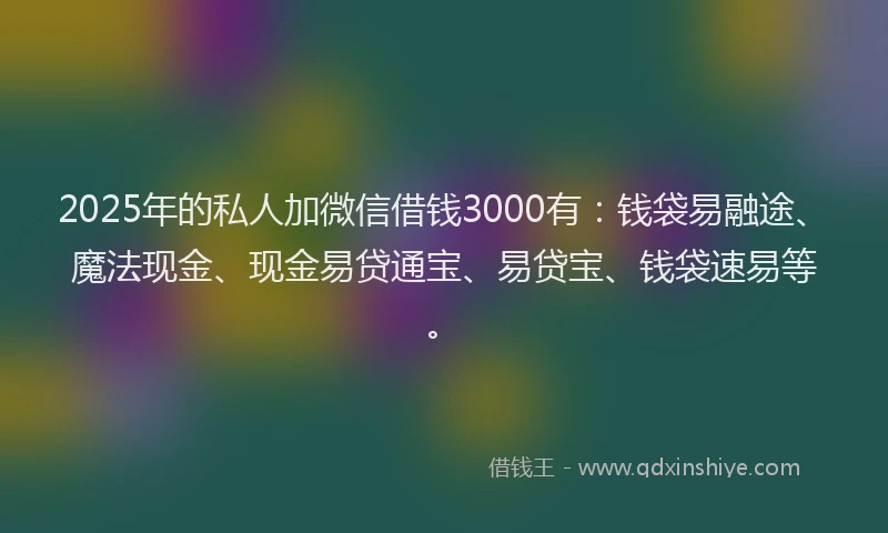 2025年的私人加微信借钱3000有：钱袋易融途、魔法现金、现金易贷通宝、易贷宝、钱袋速易等。