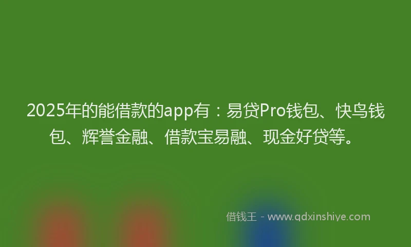 2025年的能借款的app有：易贷Pro钱包、快鸟钱包、辉誉金融、借款宝易融、现金好贷等。