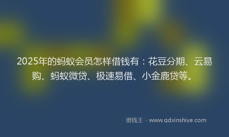 2025年的蚂蚁会员怎样借钱有：花豆分期、云易购、蚂蚁微贷、极速易借、小金鹿贷等。