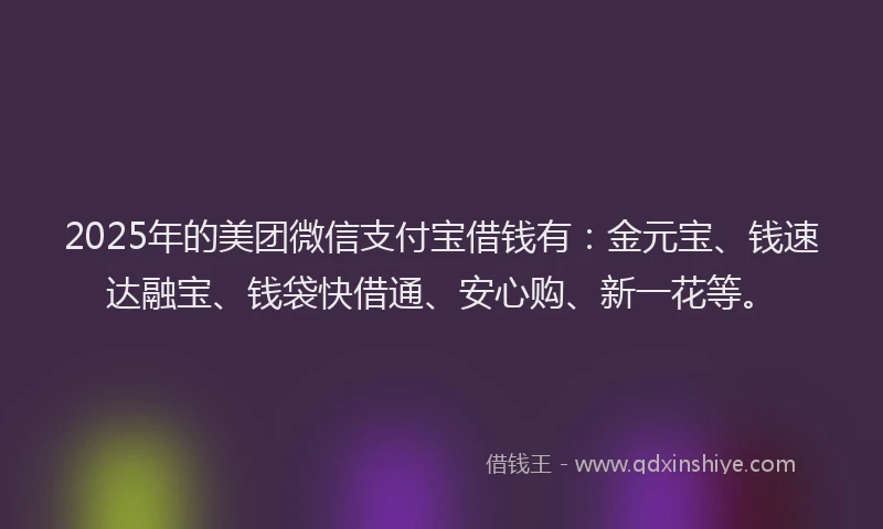 2025年的美团微信支付宝借钱有：金元宝、钱速达融宝、钱袋快借通、安心购、新一花等。