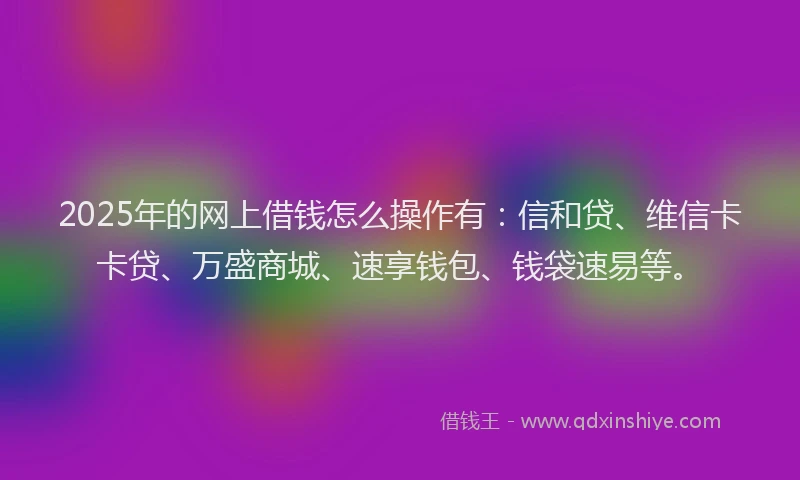 2025年的网上借钱怎么操作有：信和贷、维信卡卡贷、万盛商城、速享钱包、钱袋速易等。