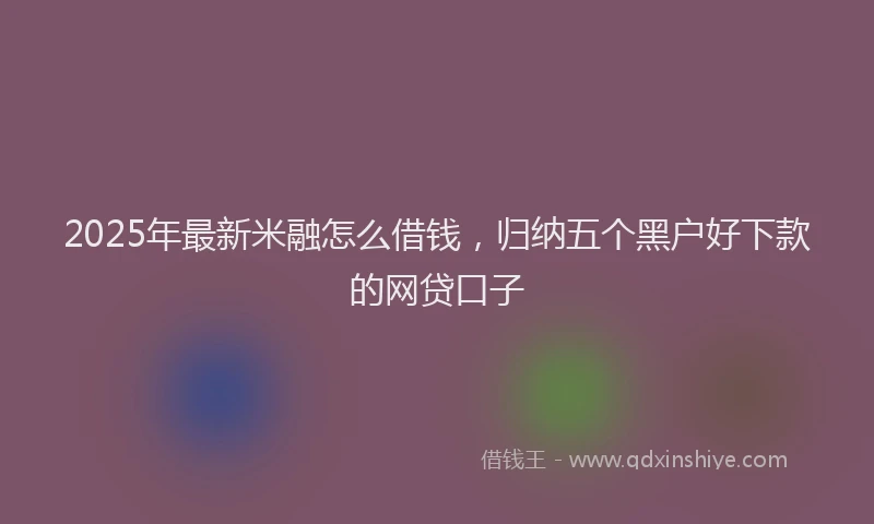 2025年最新米融怎么借钱，归纳五个黑户好下款的网贷口子