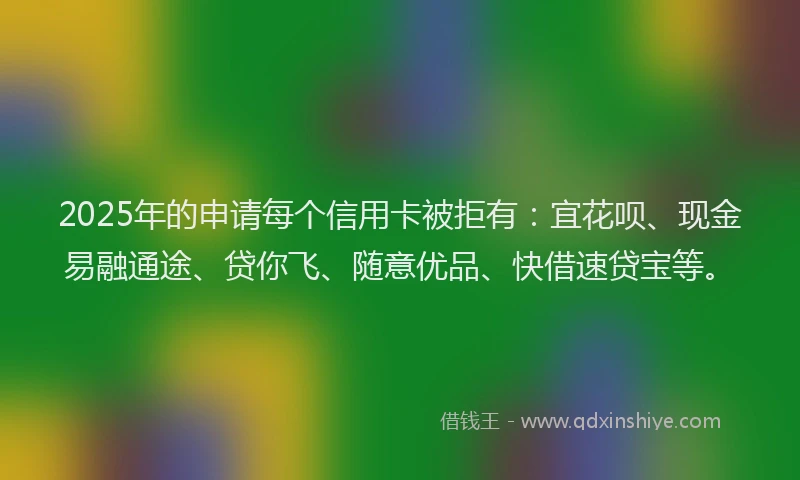 2025年的申请每个信用卡被拒有：宜花呗、现金易融通途、贷你飞、随意优品、快借速贷宝等。