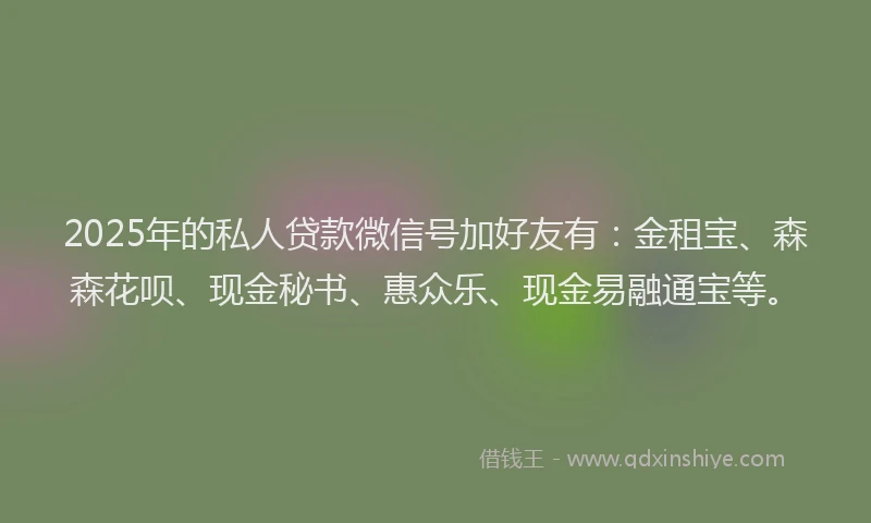 2025年的私人贷款微信号加好友有：金租宝、森森花呗、现金秘书、惠众乐、现金易融通宝等。