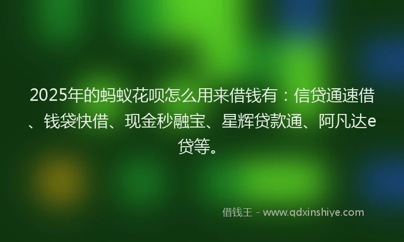 2025年的蚂蚁花呗怎么用来借钱有：信贷通速借、钱袋快借、现金秒融宝、星辉贷款通、阿凡达e贷等。