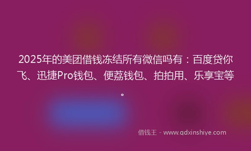 2025年的美团借钱冻结所有微信吗有：百度贷你飞、迅捷Pro钱包、便荔钱包、拍拍用、乐享宝等。