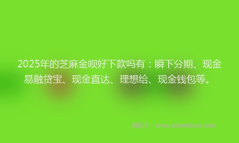 2025年的芝麻金呗好下款吗有：瞬下分期、现金易融贷宝、现金直达、理想给、现金钱包等。