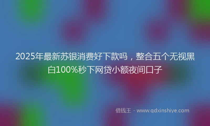 2025年最新苏银消费好下款吗，整合五个无视黑白100%秒下网贷小额夜间口子