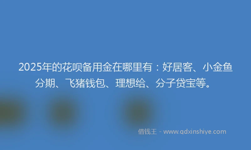 2025年的花呗备用金在哪里有：好居客、小金鱼分期、飞猪钱包、理想给、分子贷宝等。