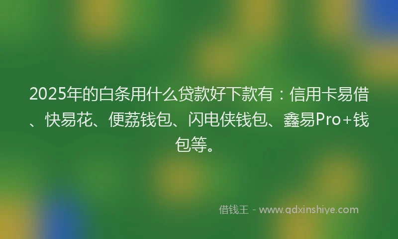 2025年的白条用什么贷款好下款有：信用卡易借、快易花、便荔钱包、闪电侠钱包、鑫易Pro+钱包等。
