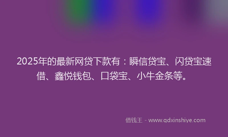 2025年的最新网贷下款有：瞬信贷宝、闪贷宝速借、鑫悦钱包、口袋宝、小牛金条等。