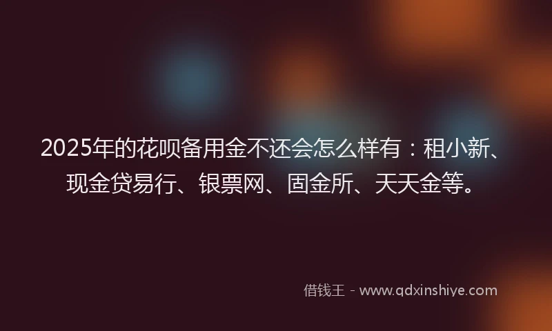 2025年的花呗备用金不还会怎么样有：租小新、现金贷易行、银票网、固金所、天天金等。
