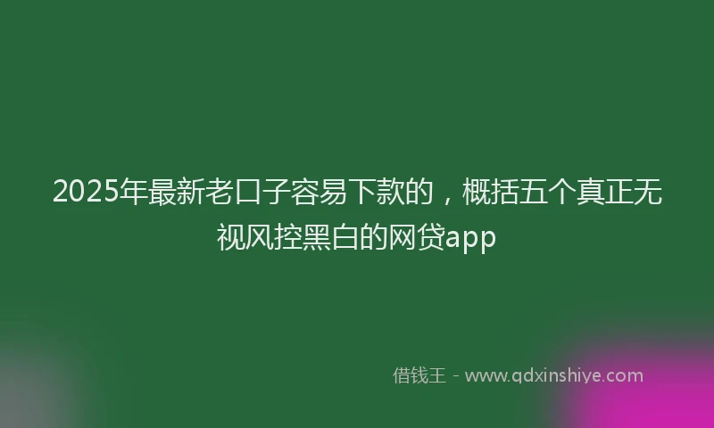 2025年最新老口子容易下款的，概括五个真正无视风控黑白的网贷app