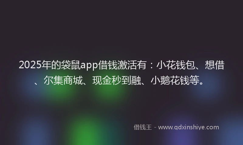 2025年的袋鼠app借钱激活有：小花钱包、想借、尔集商城、现金秒到融、小鹅花钱等。