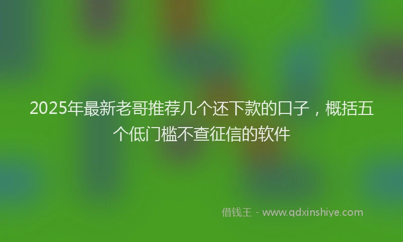 2025年最新老哥推荐几个还下款的口子，概括五个低门槛不查征信的软件