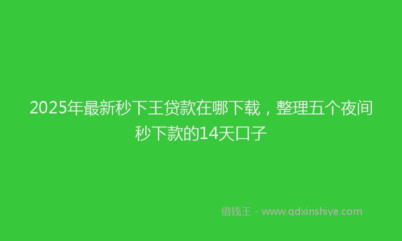 2025年最新秒下王贷款在哪下载，整理五个夜间秒下款的14天口子