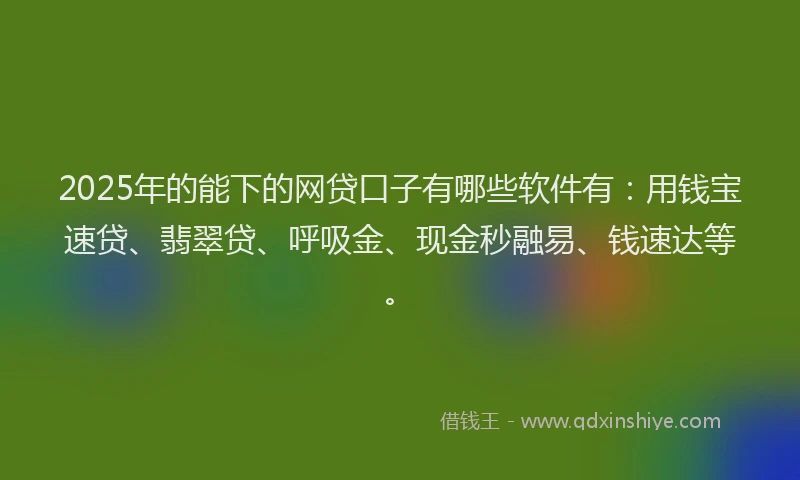 2025年的能下的网贷口子有哪些软件有：用钱宝速贷、翡翠贷、呼吸金、现金秒融易、钱速达等。