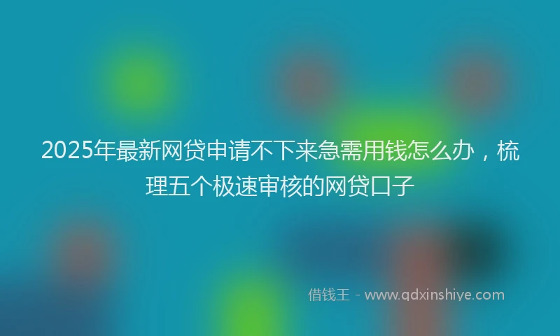 2025年最新网贷申请不下来急需用钱怎么办，梳理五个极速审核的网贷口子