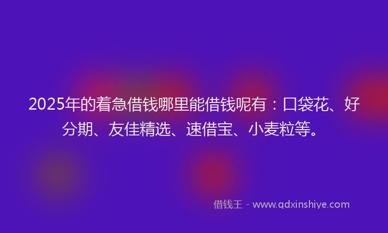 2025年的着急借钱哪里能借钱呢有：口袋花、好分期、友佳精选、速借宝、小麦粒等。