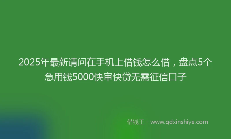 2025年最新请问在手机上借钱怎么借，盘点5个急用钱5000快审快贷无需征信口子