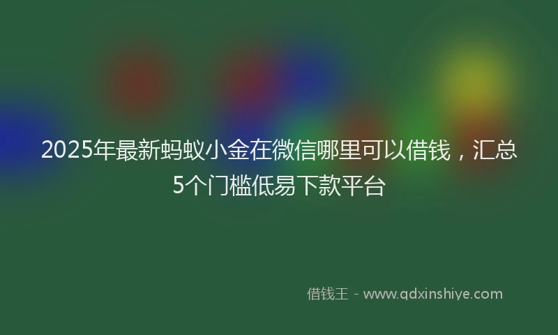 2025年最新蚂蚁小金在微信哪里可以借钱，汇总5个门槛低易下款平台