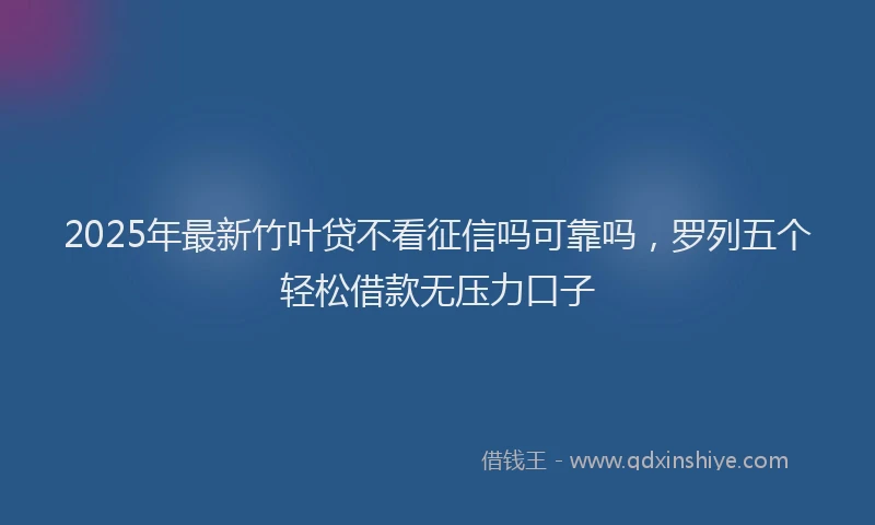 2025年最新竹叶贷不看征信吗可靠吗，罗列五个轻松借款无压力口子
