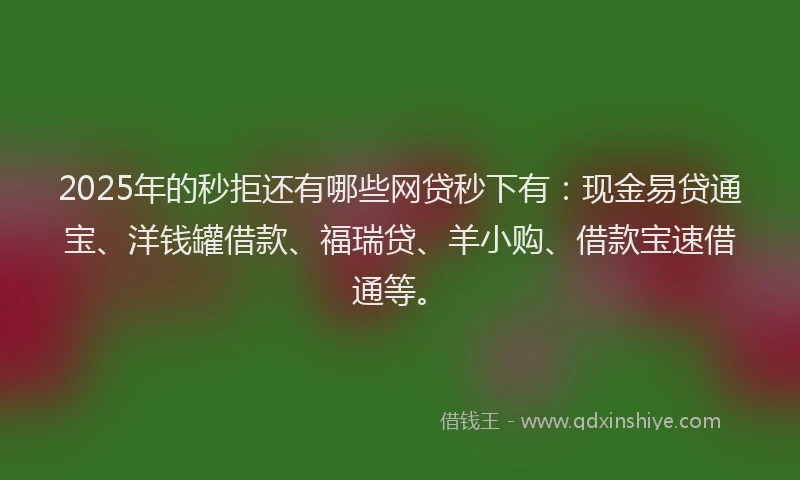 2025年的秒拒还有哪些网贷秒下有：现金易贷通宝、洋钱罐借款、福瑞贷、羊小购、借款宝速借通等。