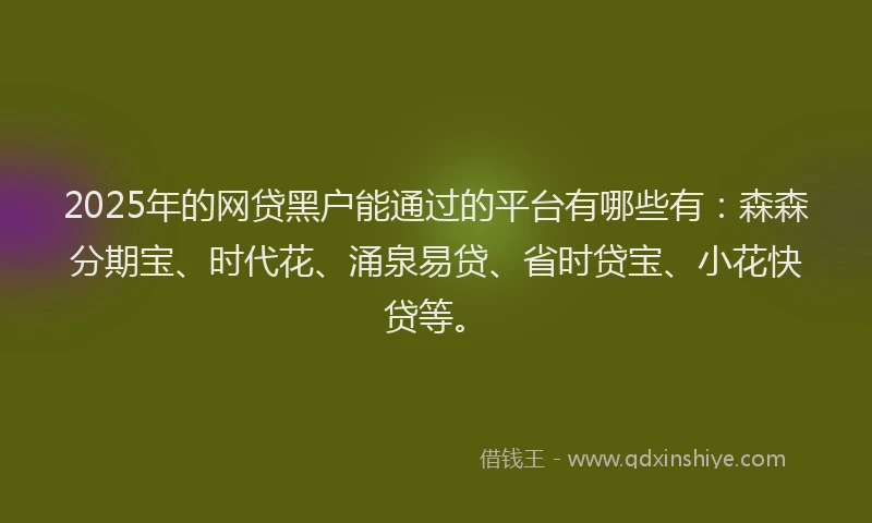 2025年的网贷黑户能通过的平台有哪些有：森森分期宝、时代花、涌泉易贷、省时贷宝、小花快贷等。