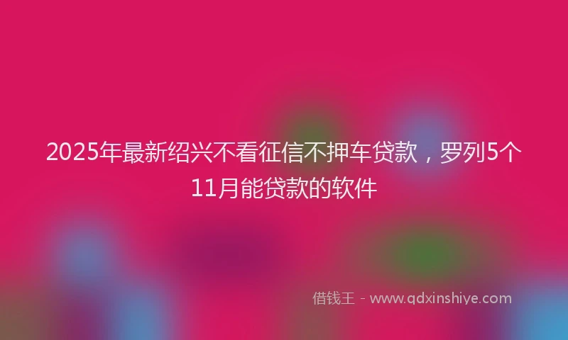2025年最新绍兴不看征信不押车贷款，罗列5个11月能贷款的软件