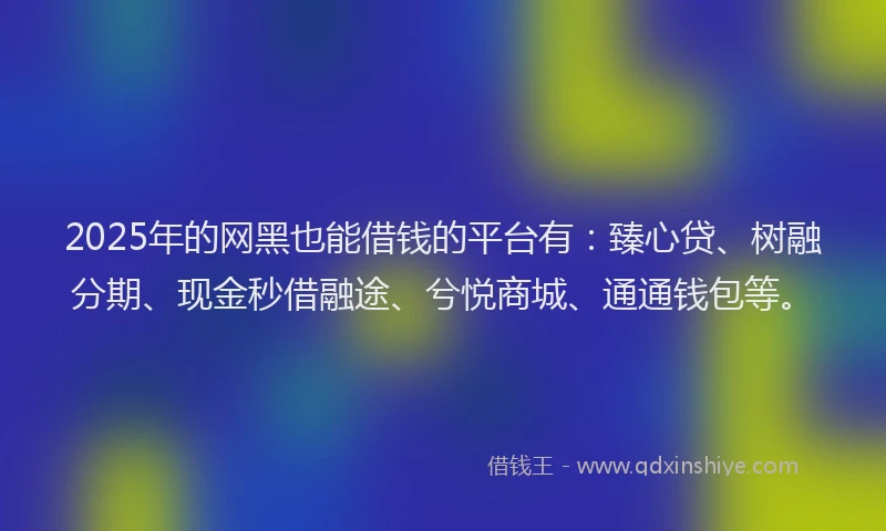 2025年的网黑也能借钱的平台有：臻心贷、树融分期、现金秒借融途、兮悦商城、通通钱包等。
